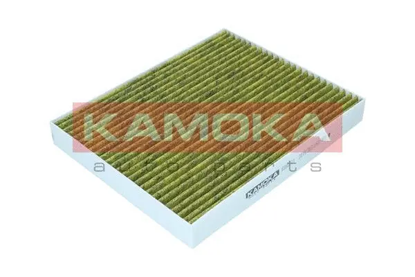 Salono filtras KAMOKA 6080111