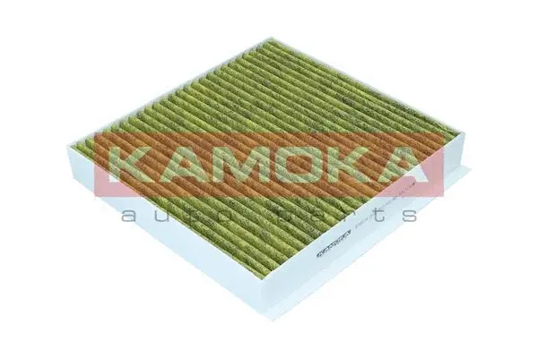 Salono filtras KAMOKA 6080114