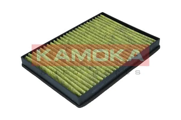 Salono filtras KAMOKA 6080119