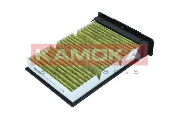 Salono filtras KAMOKA 6080121