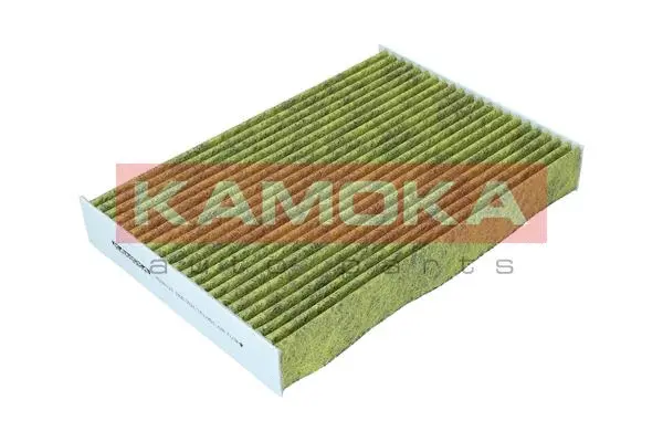 Salono filtras KAMOKA 6080125