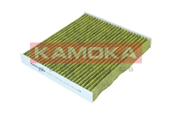 Salono filtras KAMOKA 6080129