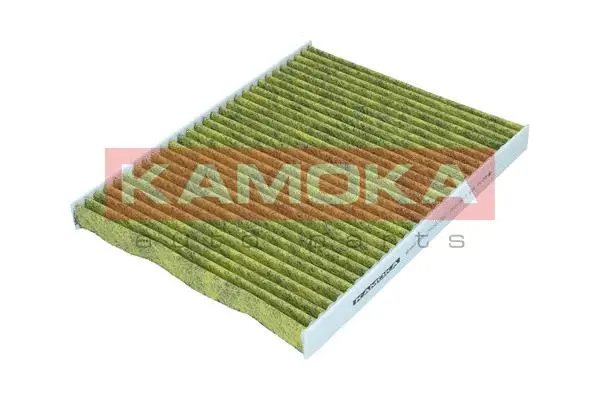 Salono filtras KAMOKA 6080136