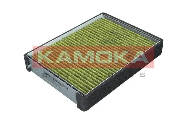 Salono filtras KAMOKA 6080137