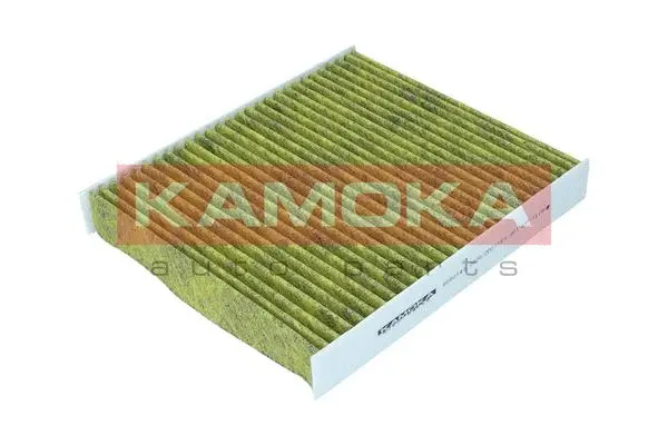 Salono filtras KAMOKA 6080143