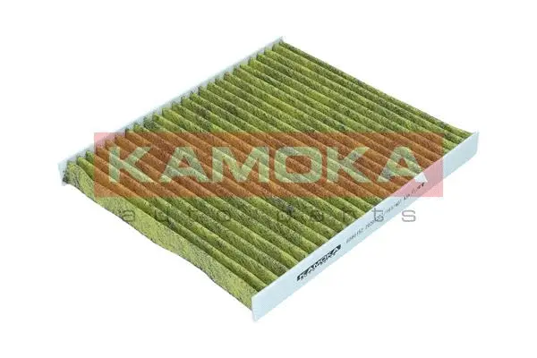 Salono filtras KAMOKA 6080152