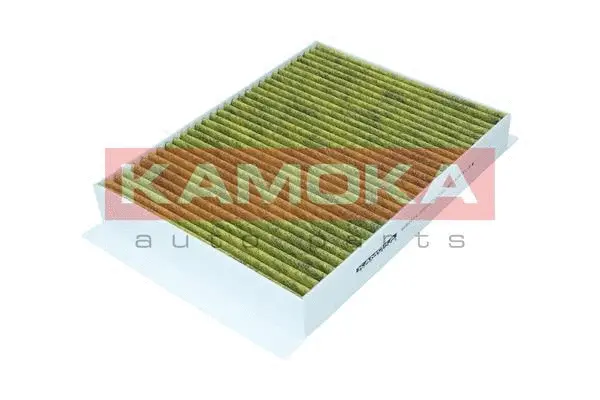 Salono filtras KAMOKA 6080154