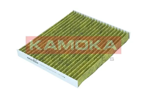Salono filtras KAMOKA 6080158