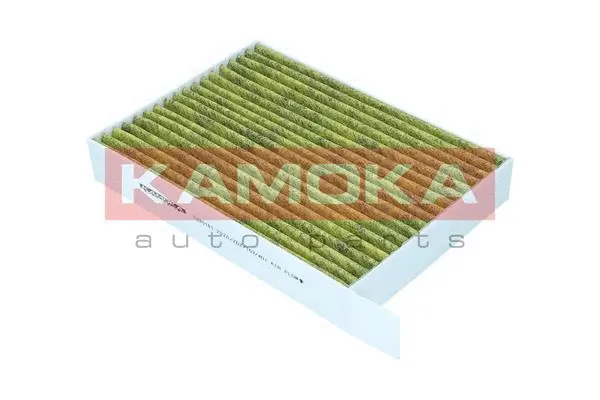 Salono filtras KAMOKA 6080161