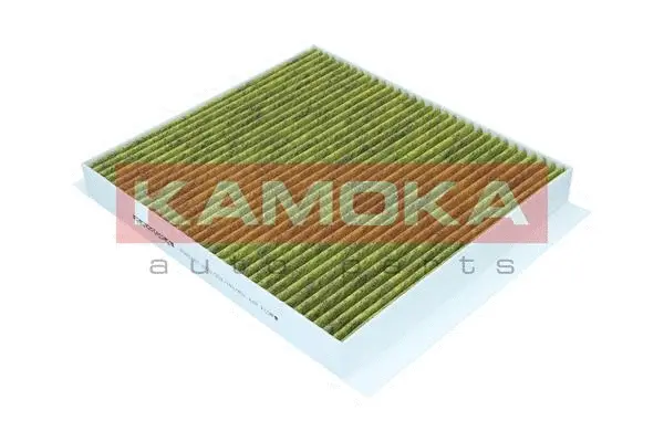 Salono filtras KAMOKA 6080162