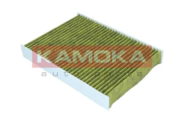 Salono filtras KAMOKA 6080165