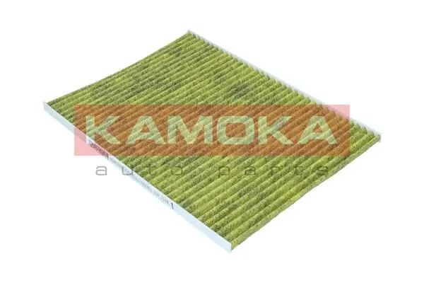 Salono filtras KAMOKA 6080168