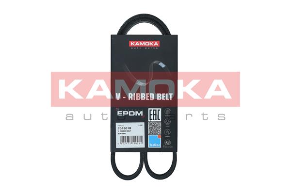 Dirželis KAMOKA 7015018