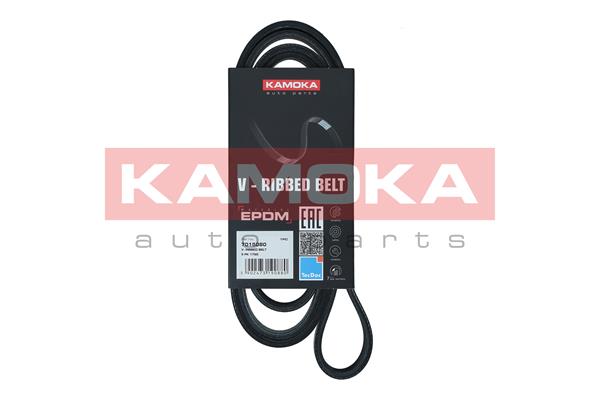 Dirželis KAMOKA 7015080