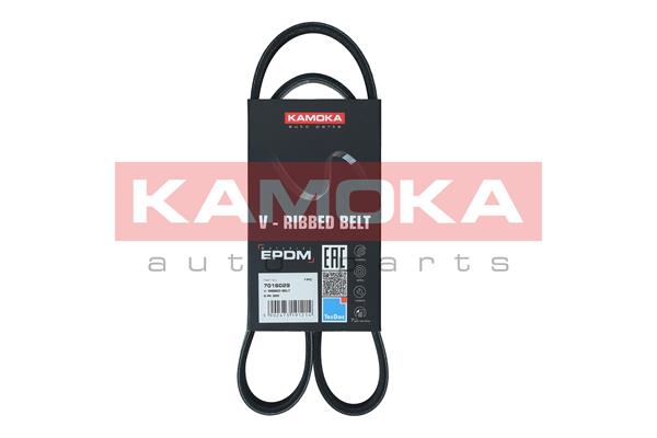 Dirželis KAMOKA 7016029