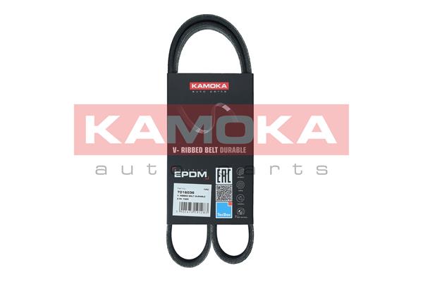 Dirželis KAMOKA 7016036