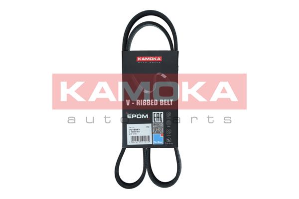 Dirželis KAMOKA 7016061