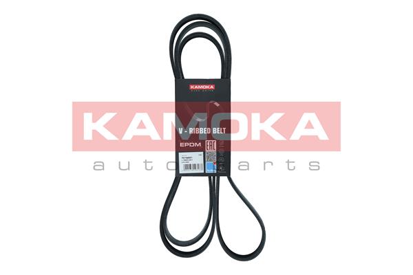 Dirželis KAMOKA 7016221