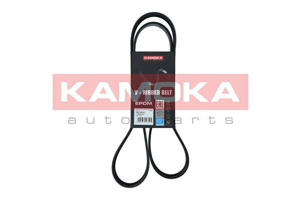Dirželis KAMOKA 7017014