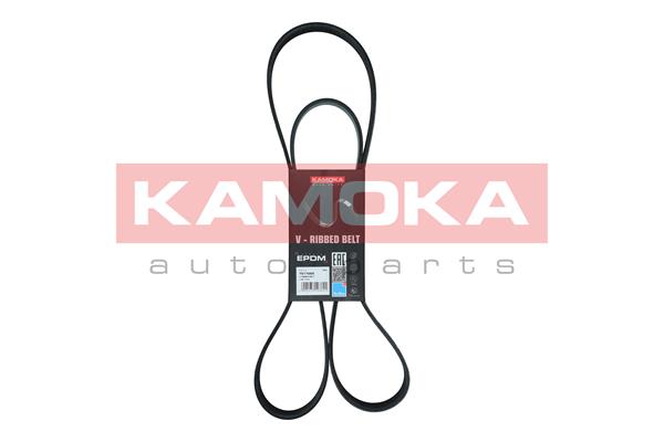 Dirželis KAMOKA 7017025