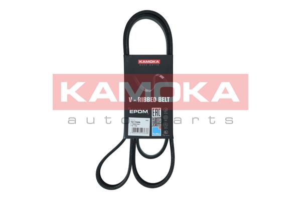 Dirželis KAMOKA 7017026