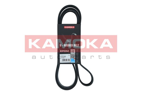 Dirželis KAMOKA 7017035