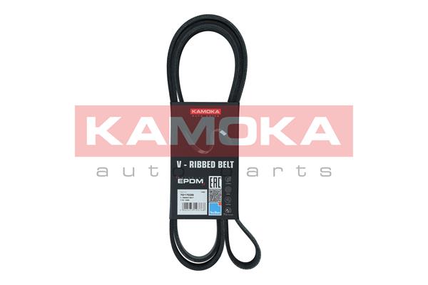 Dirželis KAMOKA 7017039