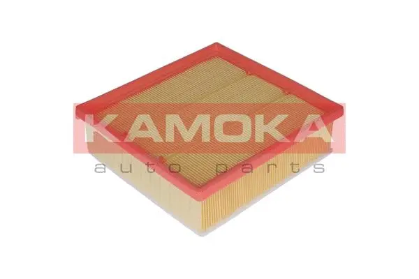 Oro filtras KAMOKA F222101