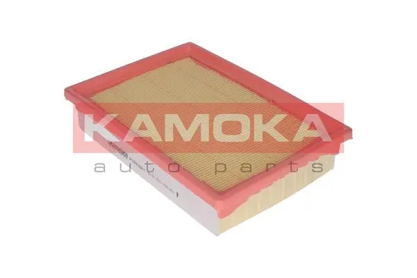 Oro filtras KAMOKA F237301