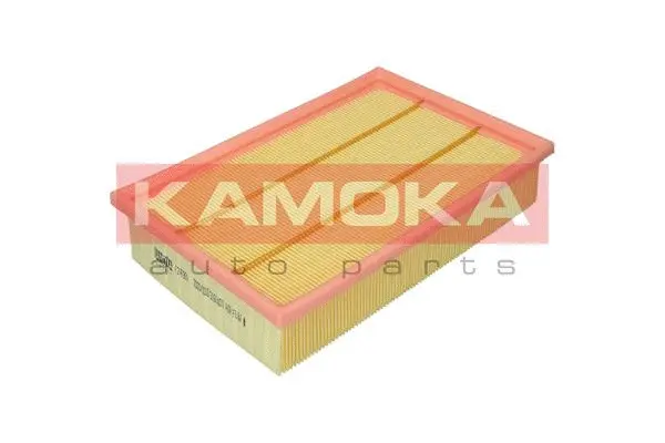 Oro filtras KAMOKA F247801