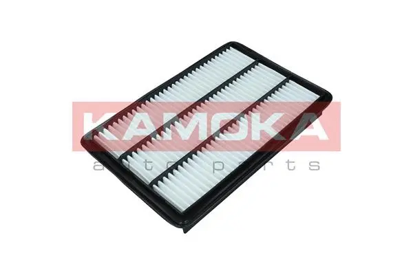 Oro filtras KAMOKA F249801