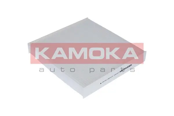 Salono filtras KAMOKA F401001