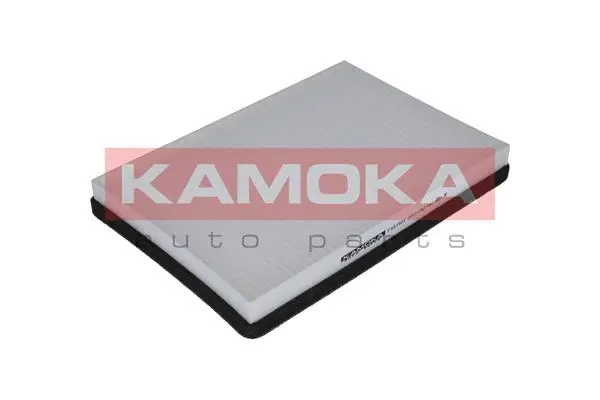 Salono filtras KAMOKA F401501