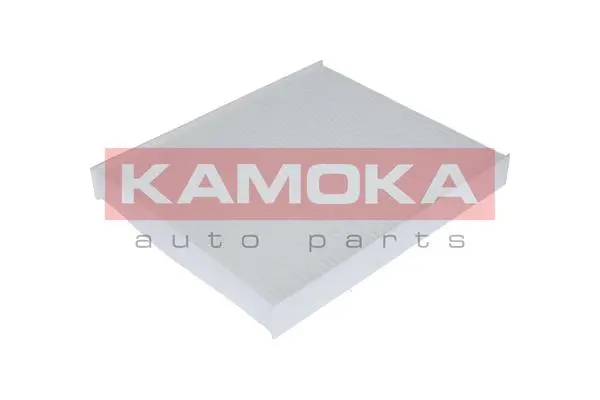 Salono filtras KAMOKA F402001