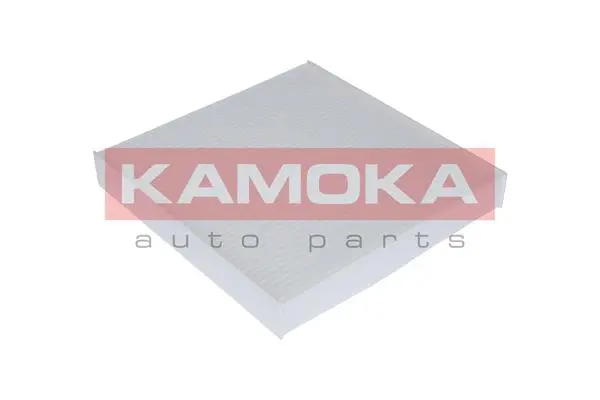 Salono filtras KAMOKA F403001