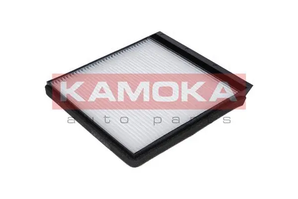 Salono filtras KAMOKA F403501