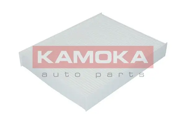 Salono filtras KAMOKA F405601
