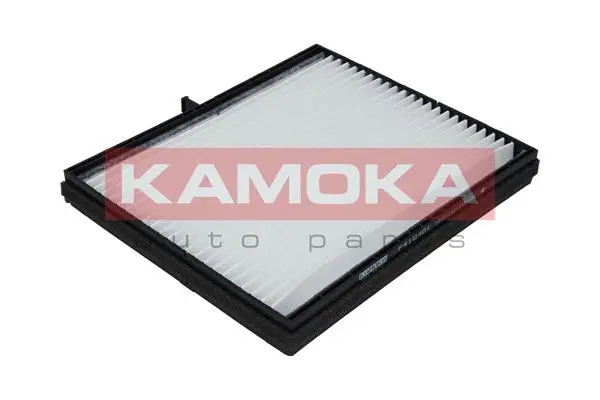 Salono filtras KAMOKA F410401