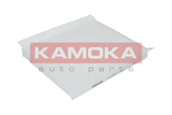 Salono filtras KAMOKA F410801