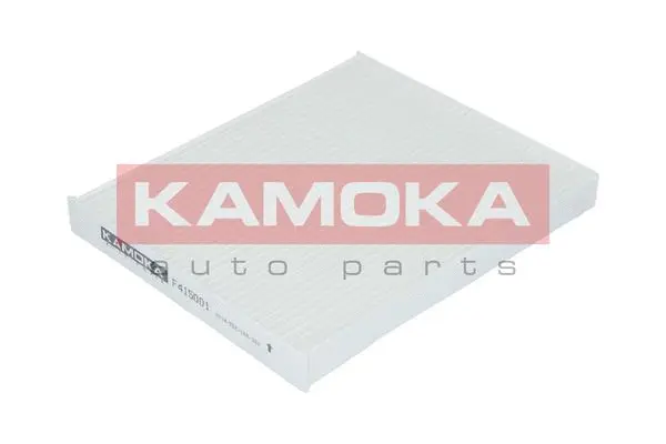 Salono filtras KAMOKA F415001
