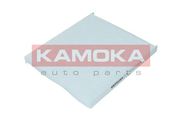 Salono filtras KAMOKA F417001