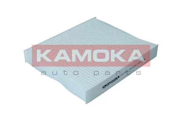 Salono filtras KAMOKA F417801