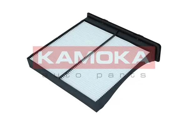 Salono filtras KAMOKA F418201