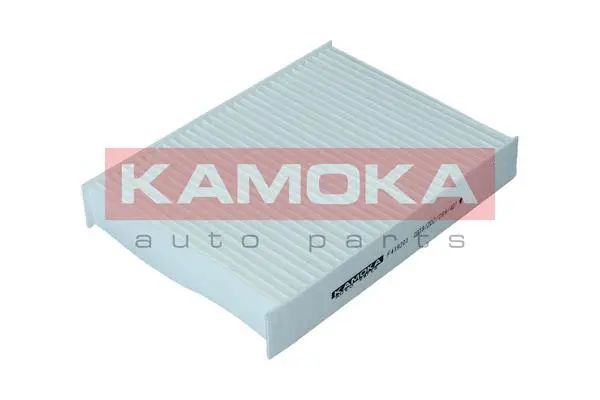 Salono filtras KAMOKA F419201