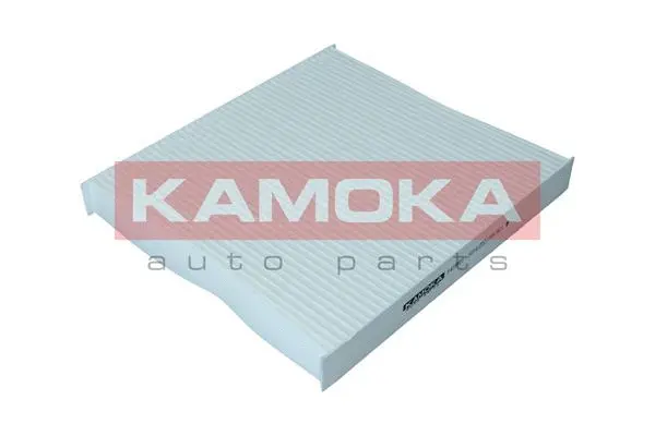 Salono filtras KAMOKA F419501