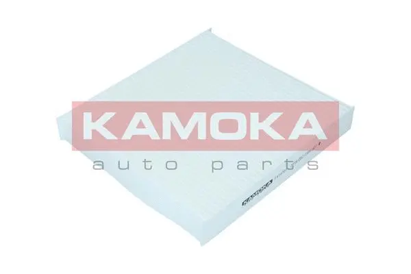 Salono filtras KAMOKA F419701