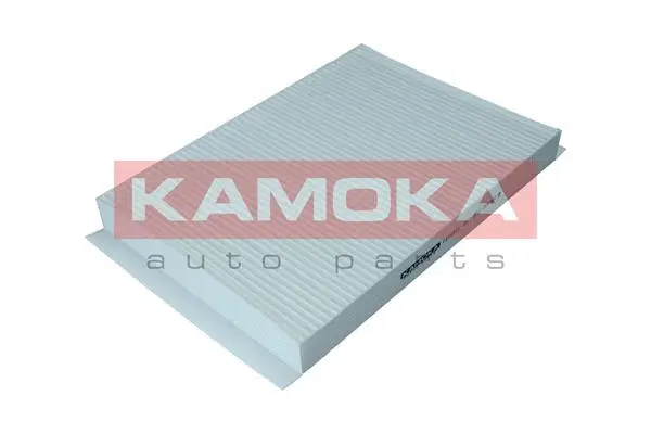 Salono filtras KAMOKA F419801