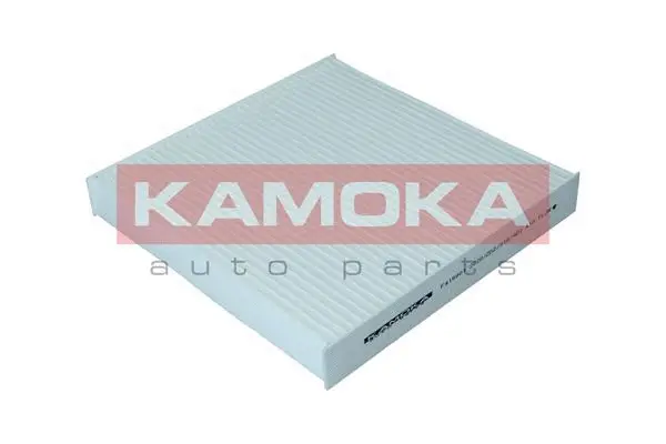 Salono filtras KAMOKA F419901