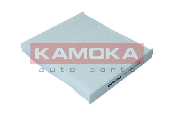 Salono filtras KAMOKA F420001