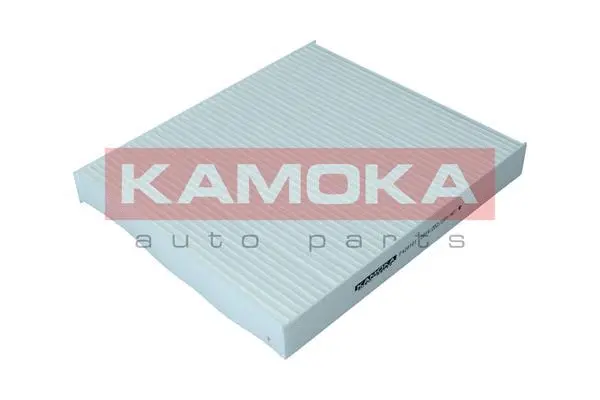 Salono filtras KAMOKA F420101